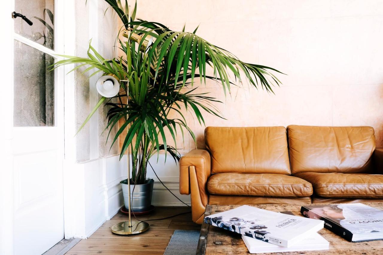 Dona Emilia Guest House & Studio Apartment Building 비아나도카스텔로 외부 사진